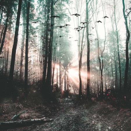 Красивый лес