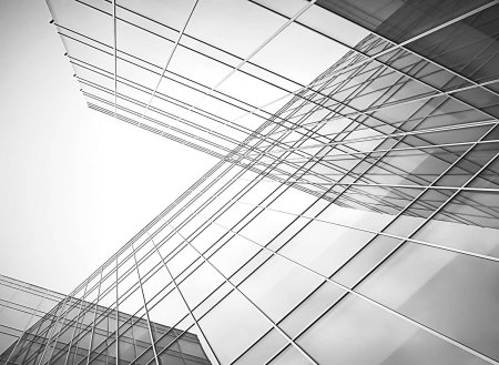 Дизайнерские линии