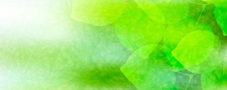 Зеленый фон