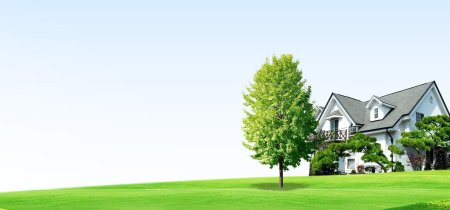 Дом с лужайкой