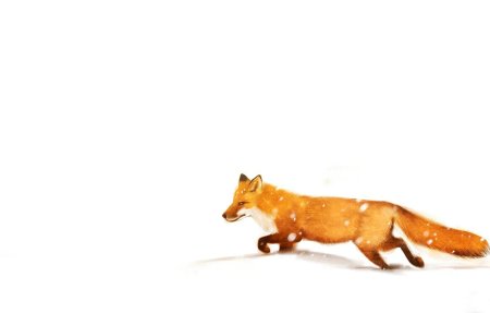 Лиса на белом фоне