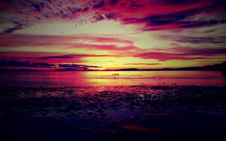 Розовый закат