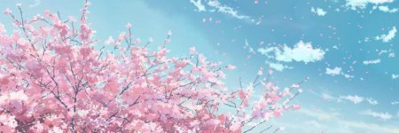 Баннер в ДС аниме гиф Сакура