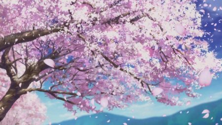 Сакура гиф аниме