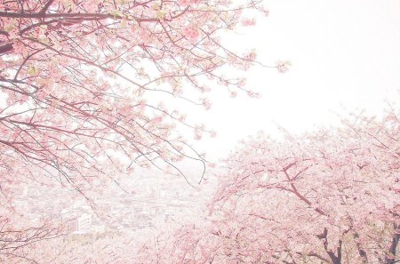 Розовые эстететика Сакура