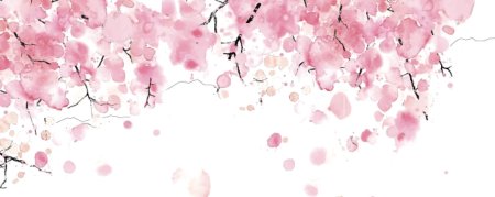 Лепестки Сакуры Геншин