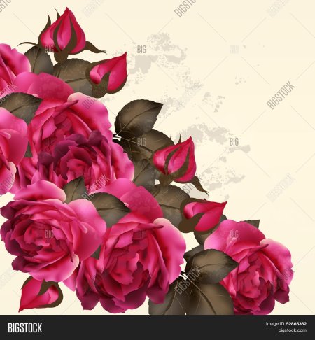 Цветы для фотошопа