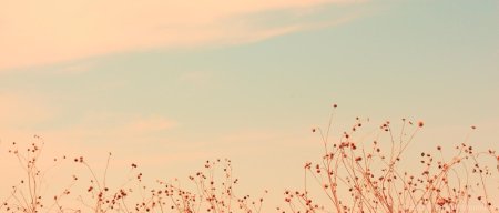 Красивые шапки для твиттера