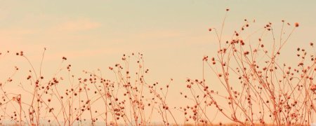 Красивый фон для твиттера