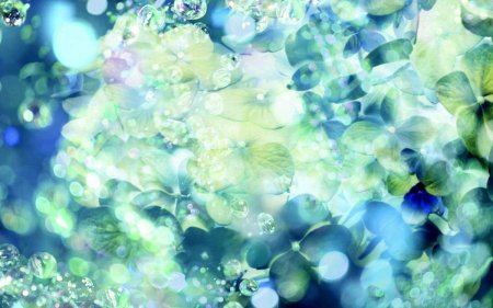 Фон для фотографий