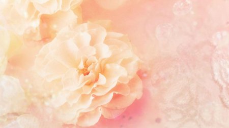 Цветочный фон