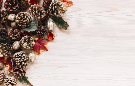 Рамка с шишками