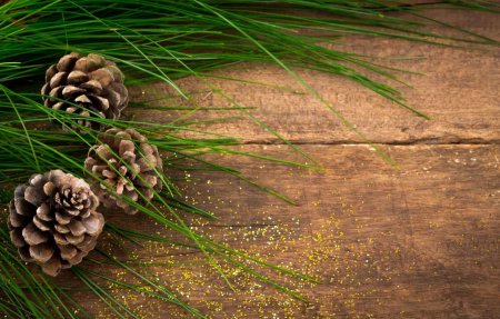 Кедровая шишка