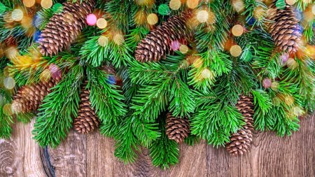 Еловая, Пихтовая, Сосновая лапы