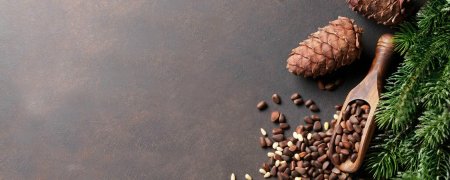 Кедровые шишки