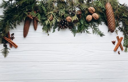 Фотофоны с еловыми ветками и шишками