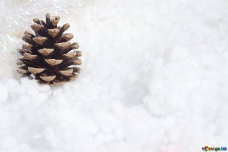 Новогодняя шишка на белом фоне