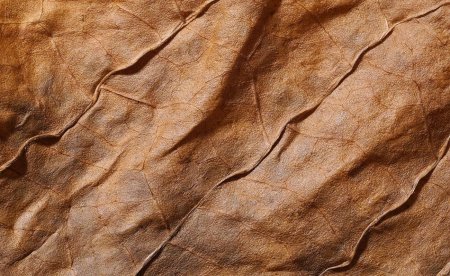 Табачный лист текстура