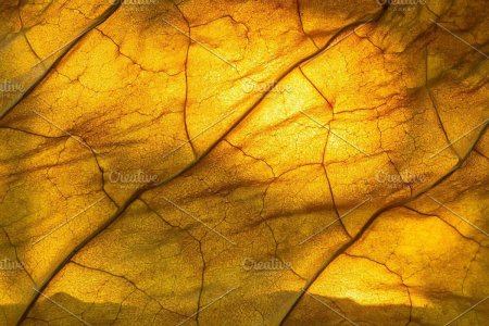 Табачный лист