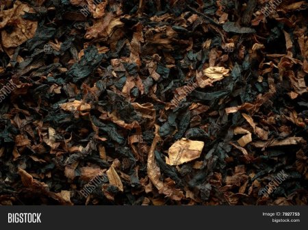 Табачный лист