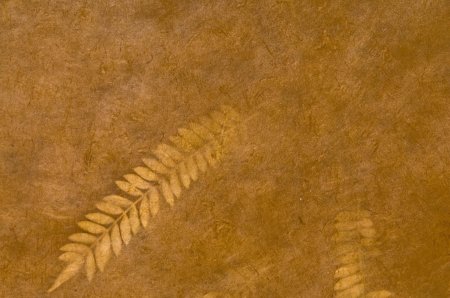 Табачный лист