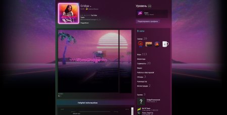 Фильтр для мини профиля в стиме