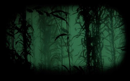 Фон профиля