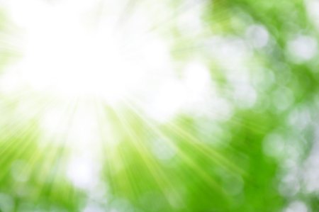 Светлый фон