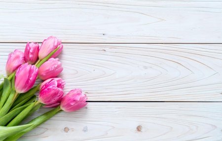 Тюльпаны фон