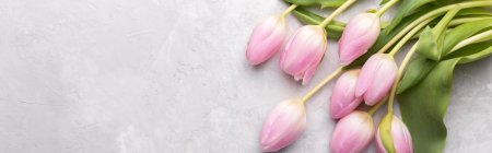 Розовые тюльпаны