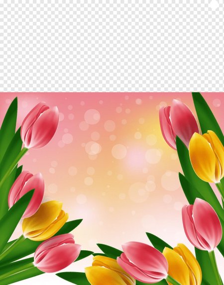 Цветочный фон тюльпаны