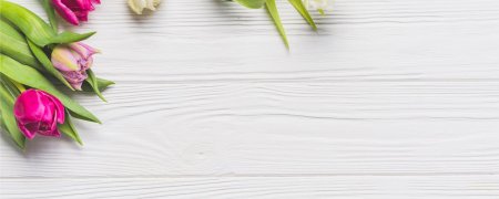 Тюльпаны фон