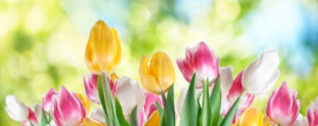 Весенние цветы