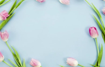 Розовые тюльпаны