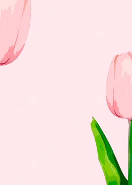 Тюльпаны фон