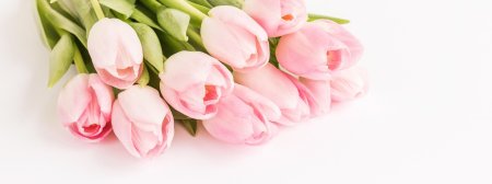 Нежные тюльпаны