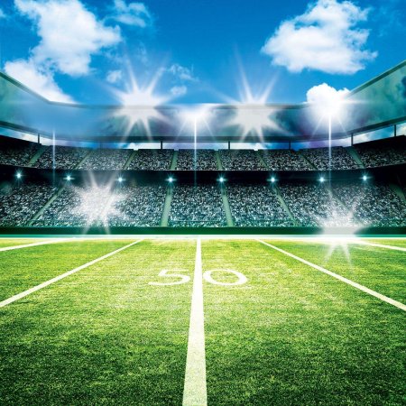 Футбольный стадион фон Стрельцова