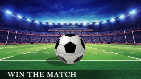 Регби стадион