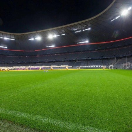 Стадион Альянц Арена газон