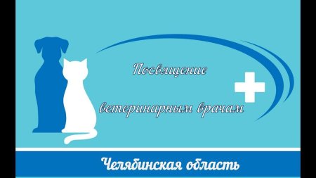 Фон ветеринар