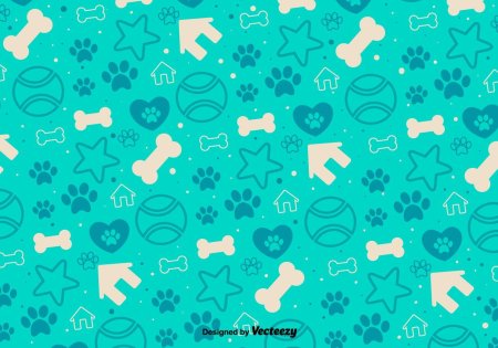 Паттерн ветеринар