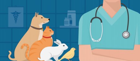 Ветеринарный врач