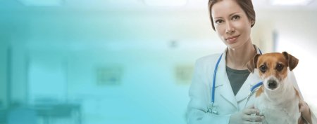 Фон ветеринар