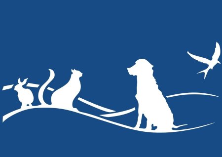 Ветеринарный фон