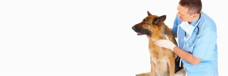 Фон ветеринар