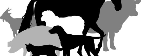 Силуэты зверей