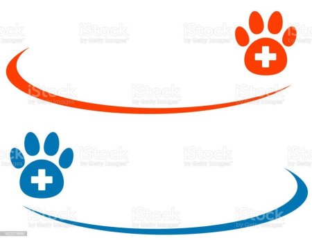 Фон для презентации Ветеринария