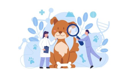 Ветеринар Минимализм