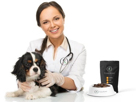 Девушка ветеринар