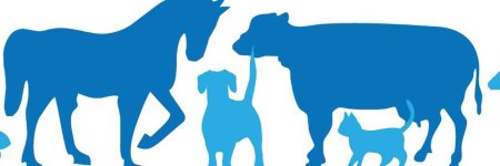 Ветеринария логотип